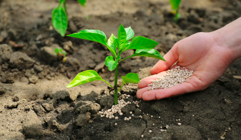 Biofertilizante, Alternativa, Ante Amenaza Mundial Por Escasez De Alimentos