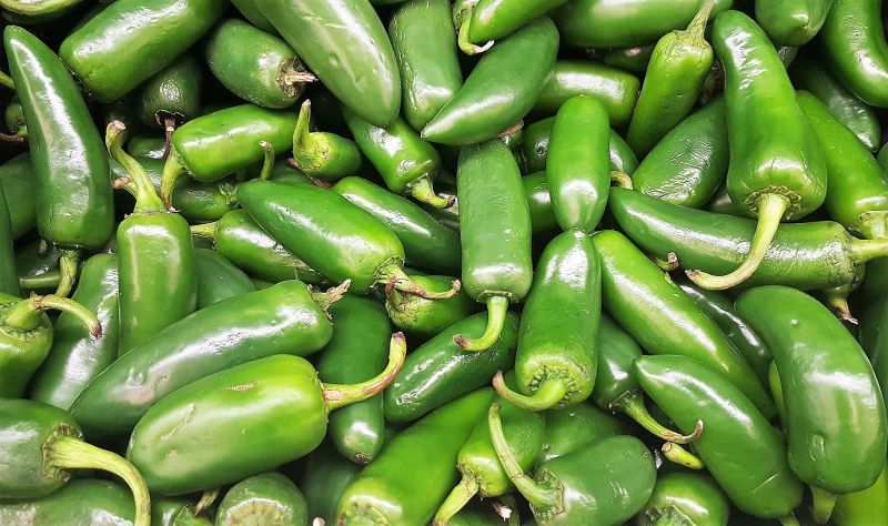 Jalapeño