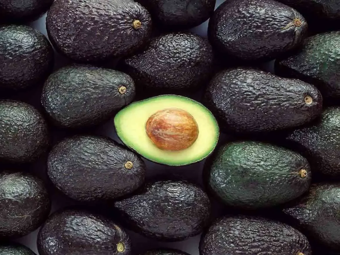 Aguacate