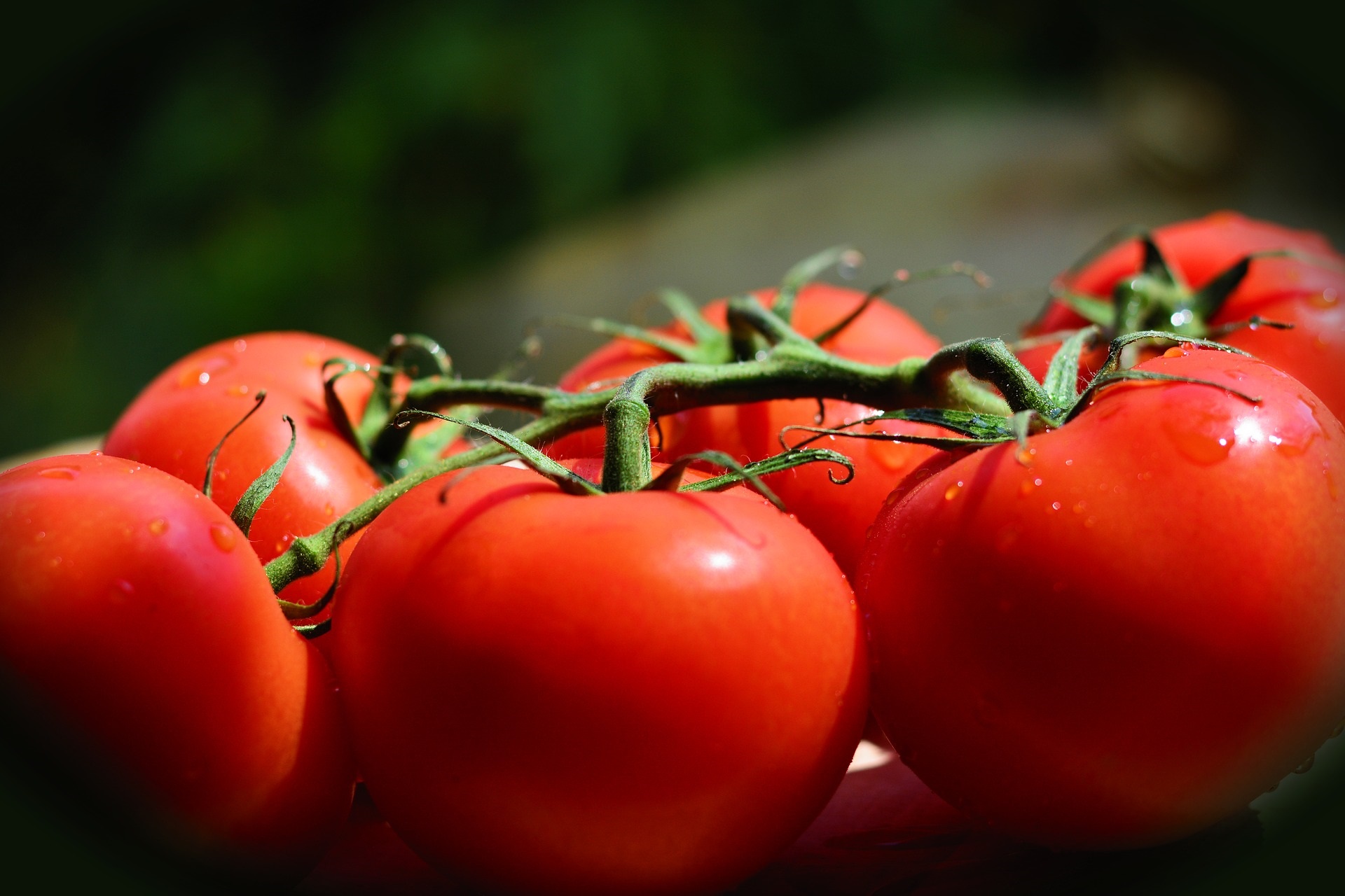 Tomate