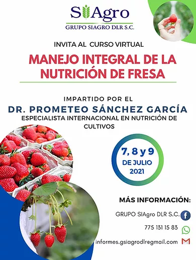 MANEJO INTEGRAL DE LA NUTRICIÓN DE LA FRESA