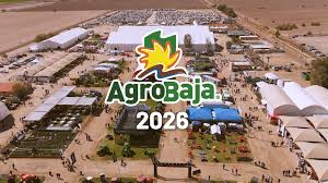 AGROBAJA
