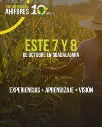 COMPROMETIDOS DESDE LA RAIZ