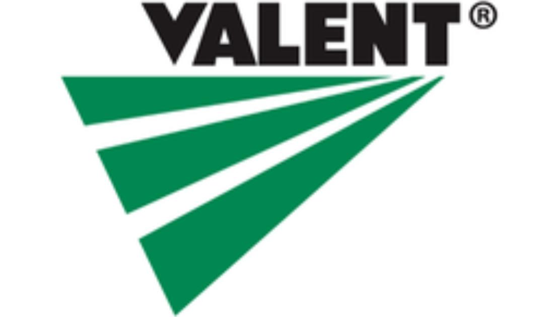 VALENT