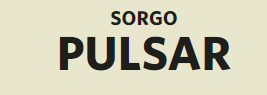 PULSAR